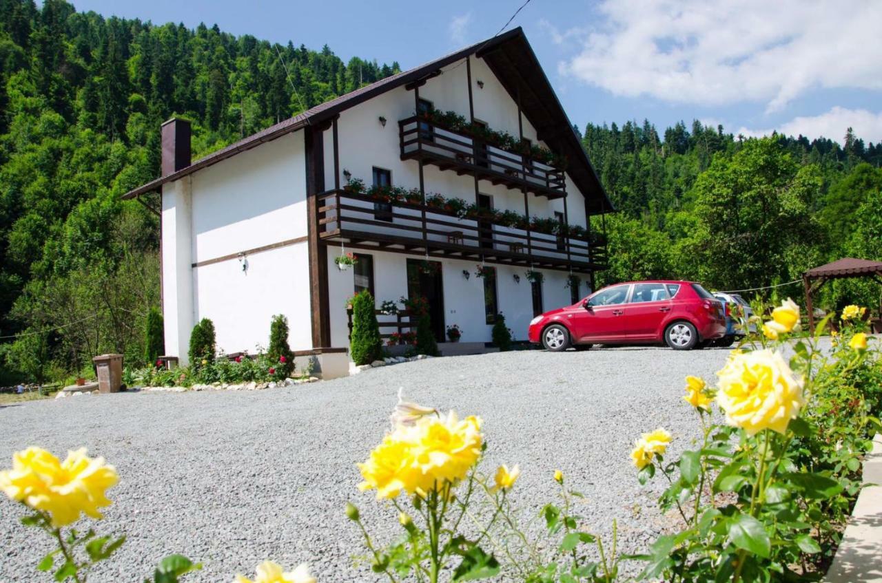 Villa Casa Ursului Vadu Motilor Exterior foto